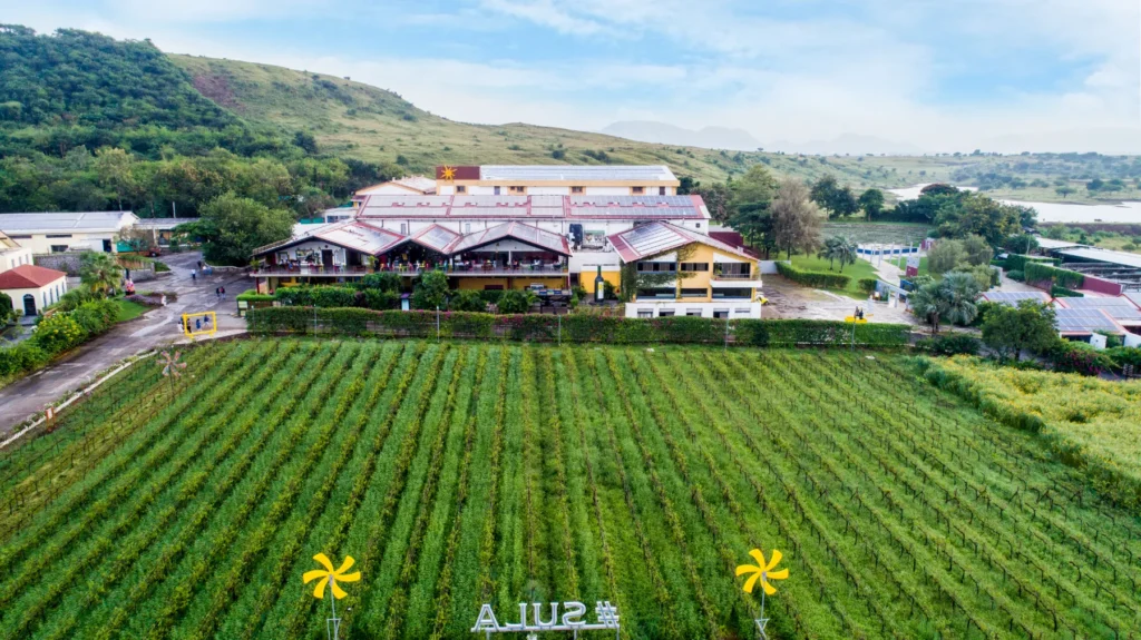 Vineyards near Nashik